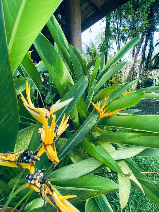 Nature Villa Unawatuna Galketiya Екстериор снимка